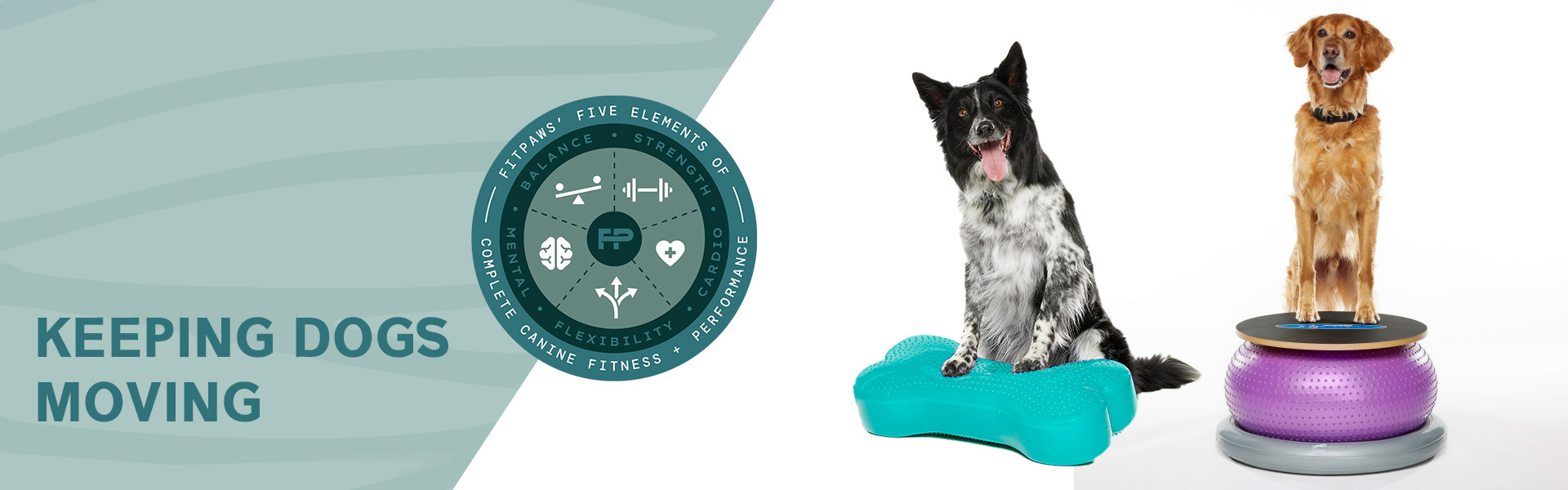FitPAWS