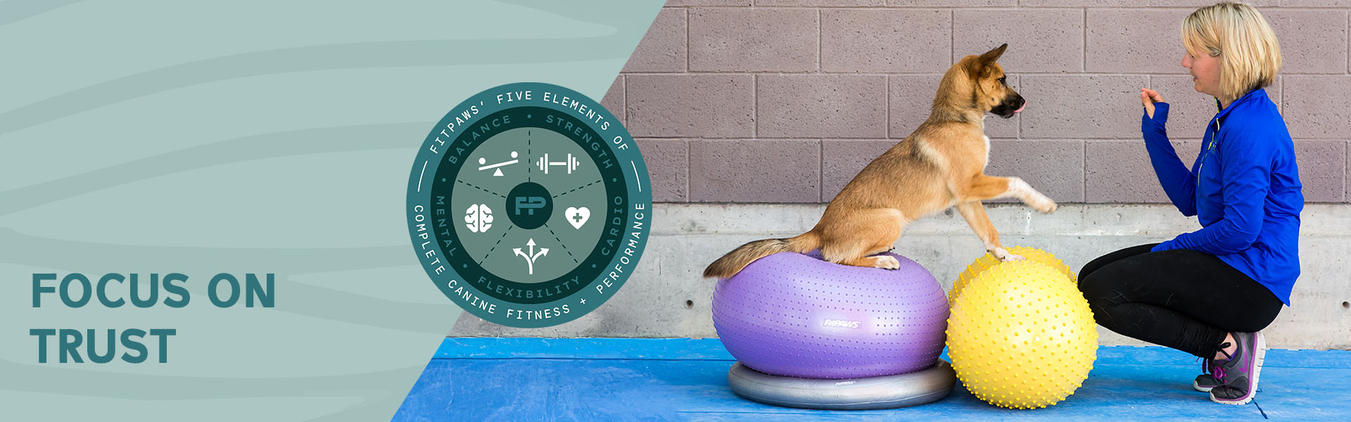 FitPAWS