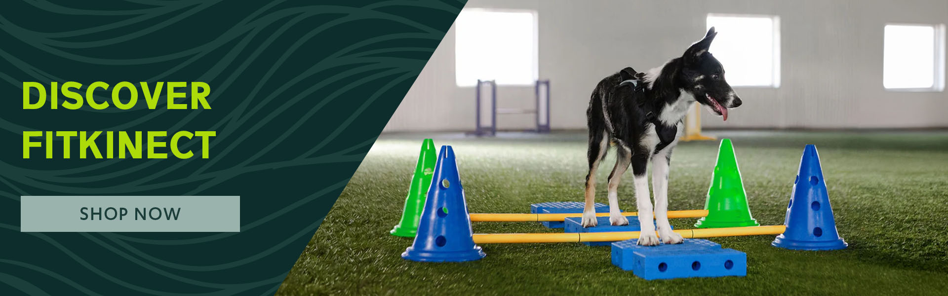 FitPAWS