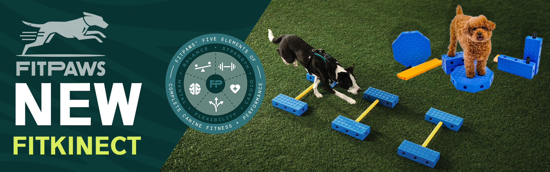 FitPAWS